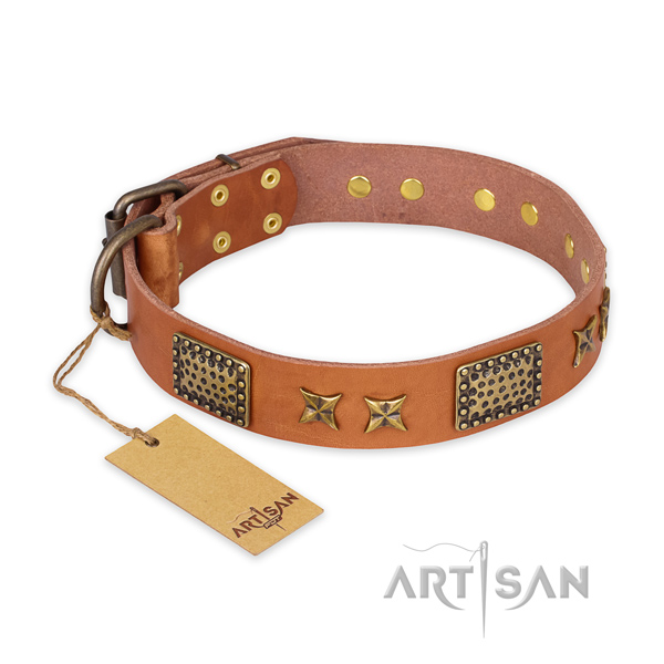 Impressive leather dog collar with strong buckle