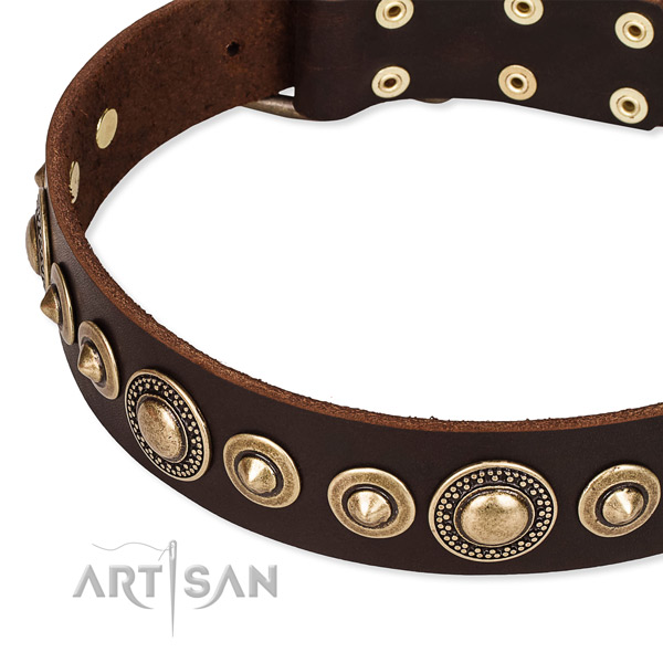 Top notch full grain genuine leather dog collar crafted for your lovely doggie