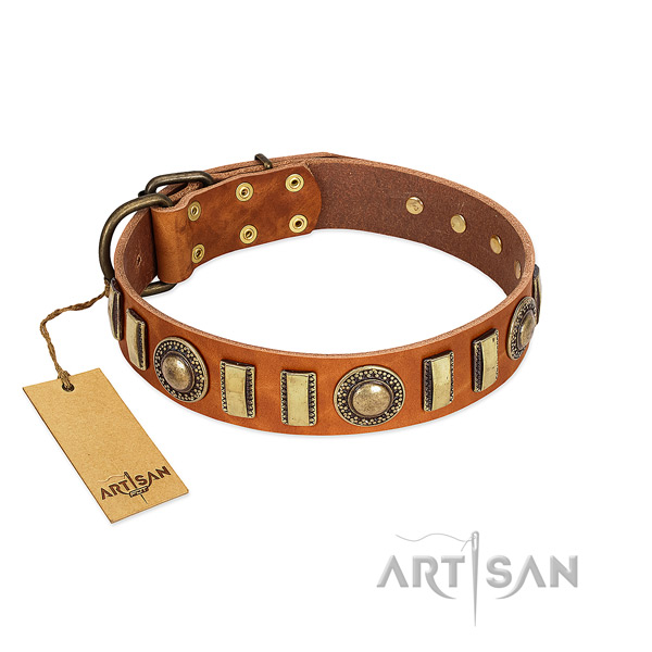 Adorned full grain genuine leather dog collar with reliable buckle