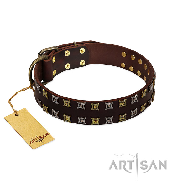 Top rate full grain leather dog collar with decorations for your canine