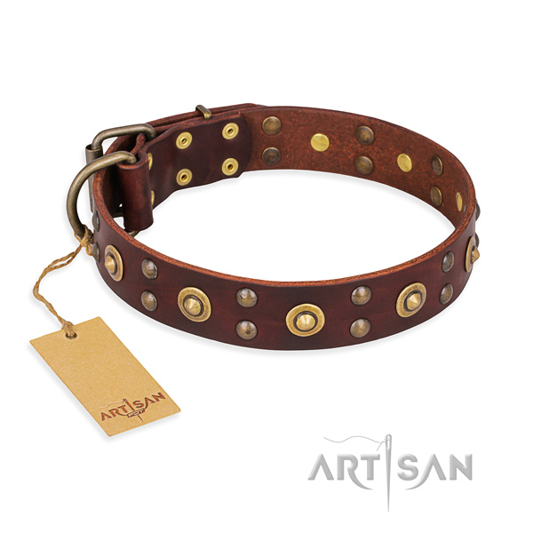 Extraordinary full grain leather dog collar with corrosion resistant D-ring