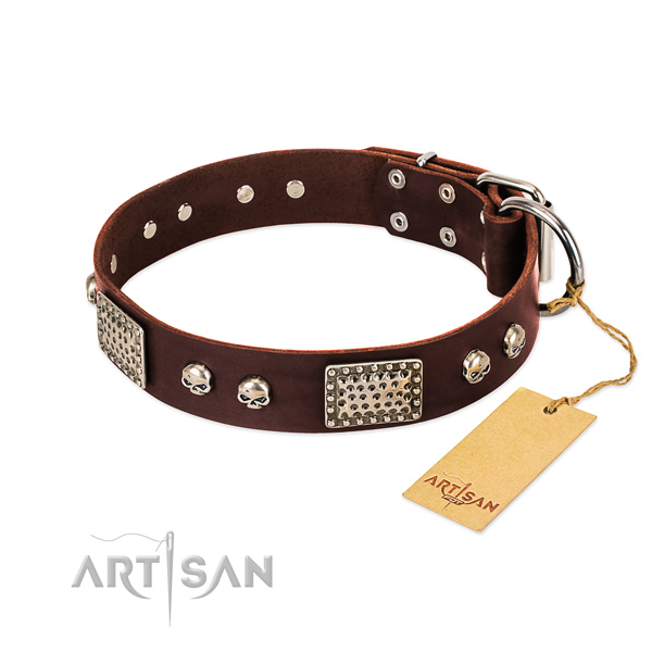Adjustable leather dog collar for everyday walking your four-legged friend