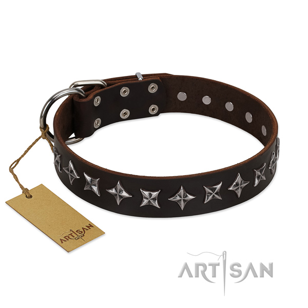 Everyday use dog collar of top quality full grain genuine leather with adornments