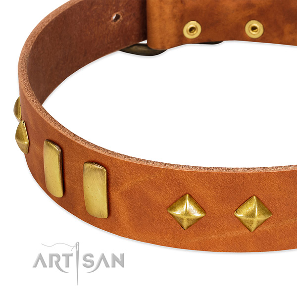 Everyday use full grain genuine leather dog collar with stylish embellishments