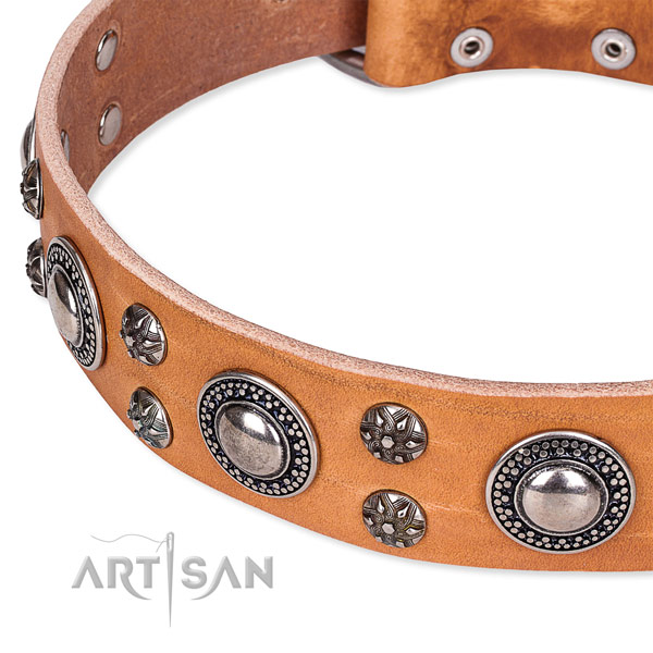 Everyday walking decorated dog collar of top quality leather