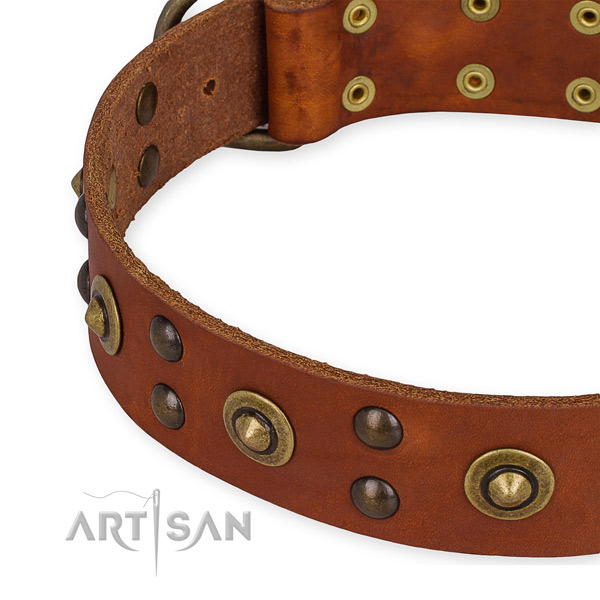 Full grain genuine leather collar with rust-proof traditional buckle for your beautiful doggie