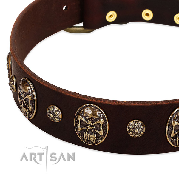 Rust-proof buckle on full grain leather dog collar for your dog