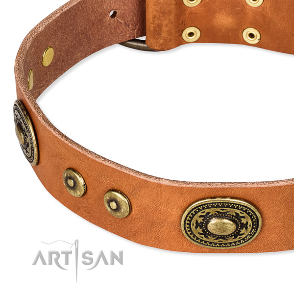 Full grain leather dog collar made of soft to touch material with embellishments