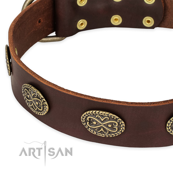 Unusual natural genuine leather collar for your stylish canine