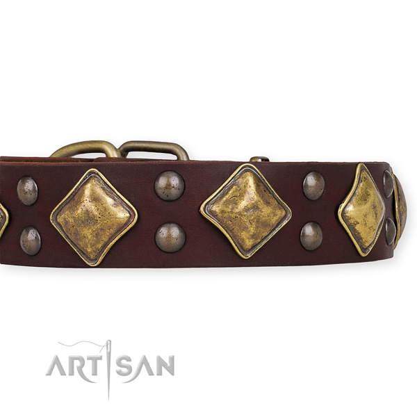 Natural leather dog collar with trendy corrosion proof studs