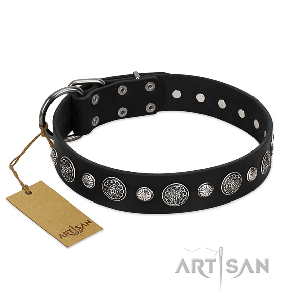 Strong leather dog collar with amazing studs