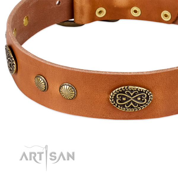Corrosion resistant adornments on full grain genuine leather dog collar for your four-legged friend