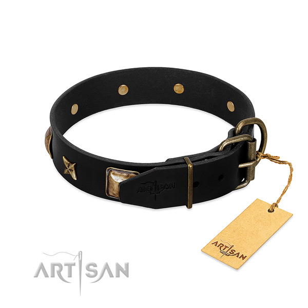 Rust resistant buckle on full grain natural leather collar for daily walking your doggie