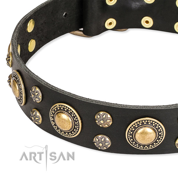 Daily use decorated dog collar of high quality leather