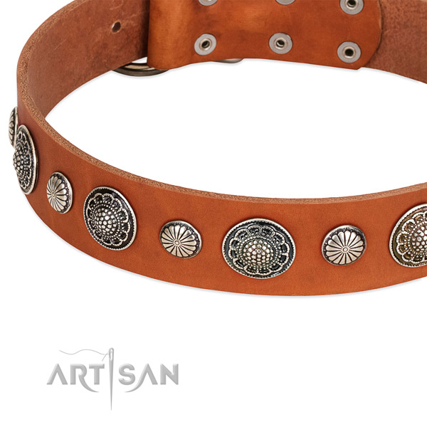 Natural leather collar with reliable traditional buckle for your beautiful pet