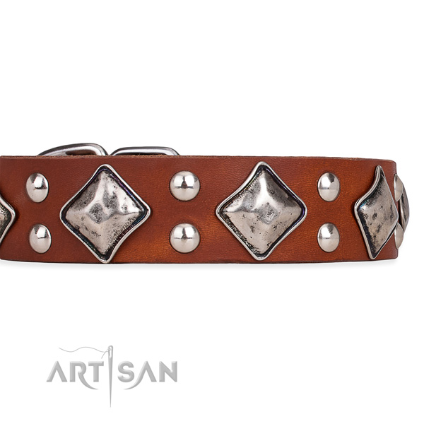Full grain genuine leather dog collar with unusual rust-proof decorations