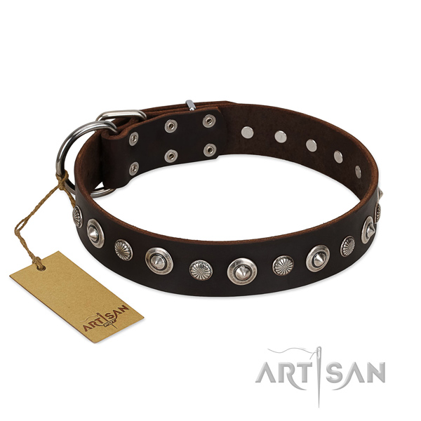Fine quality natural leather dog collar with top notch decorations
