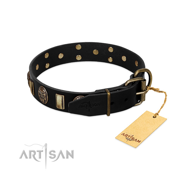 Leather dog collar with rust resistant traditional buckle and decorations
