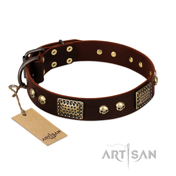 Easy to adjust leather dog collar for everyday walking your doggie