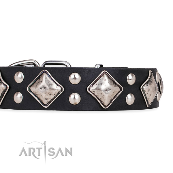 Genuine leather dog collar with extraordinary corrosion resistant studs