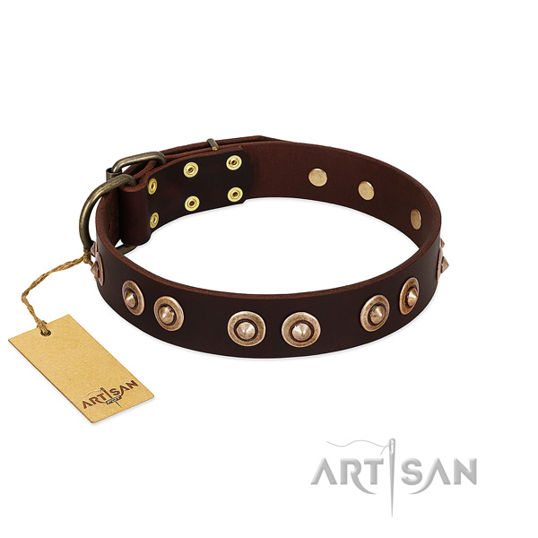 Rust resistant hardware on full grain natural leather dog collar for your dog