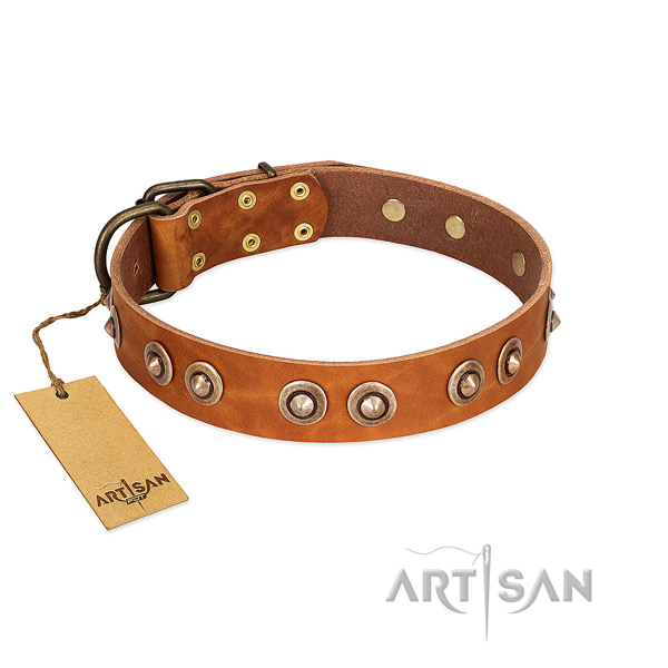 Corrosion proof D-ring on genuine leather dog collar for your four-legged friend