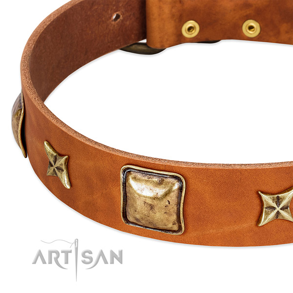 Corrosion resistant embellishments on full grain natural leather dog collar for your four-legged friend