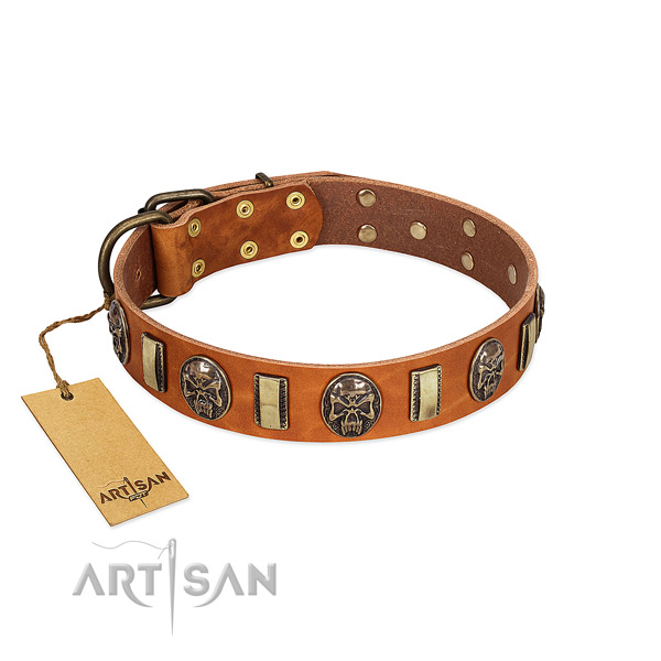Fashionable leather dog collar for daily use