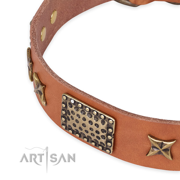 Full grain leather collar with rust resistant fittings for your attractive doggie