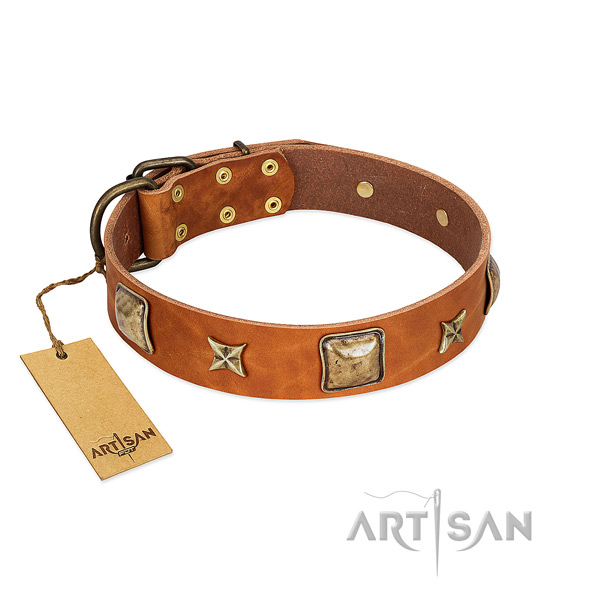 Incredible full grain leather collar for your canine