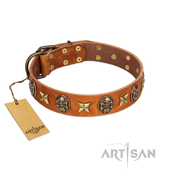 Stylish full grain natural leather collar for your dog