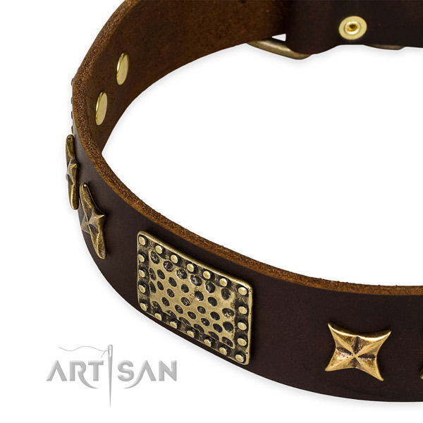 Leather collar with strong hardware for your handsome doggie