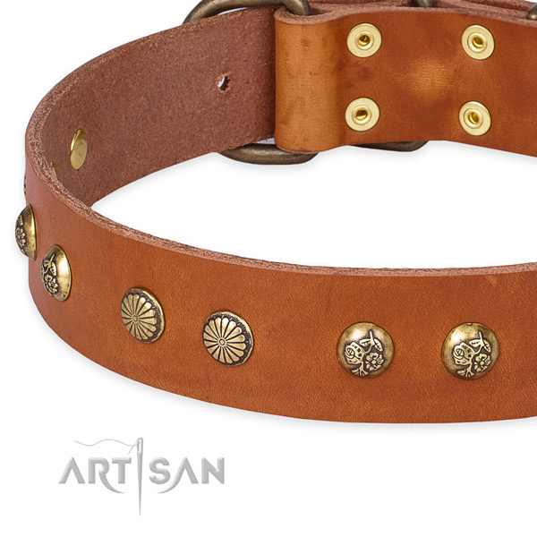 Genuine leather collar with rust resistant D-ring for your beautiful pet