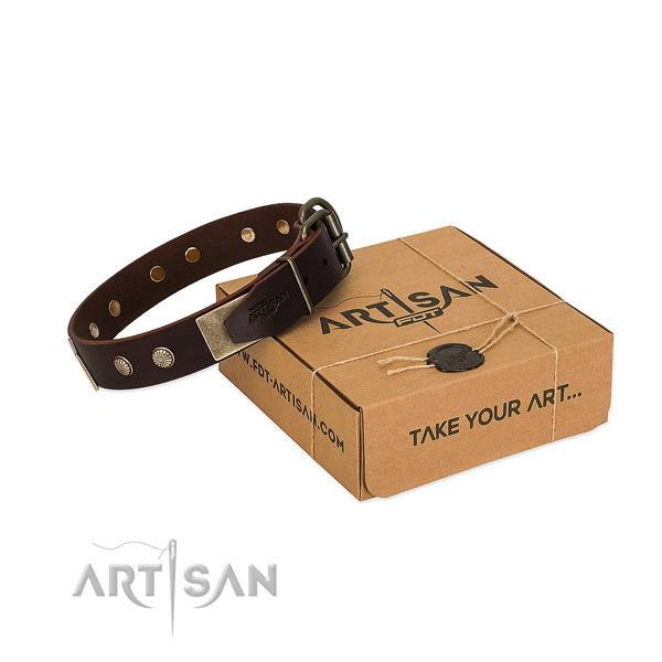 Reliable traditional buckle on dog collar for handy use