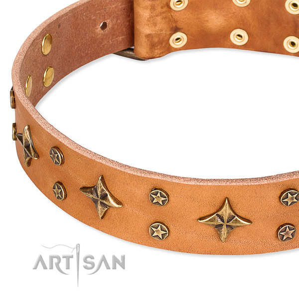 Basic training adorned dog collar of fine quality full grain leather