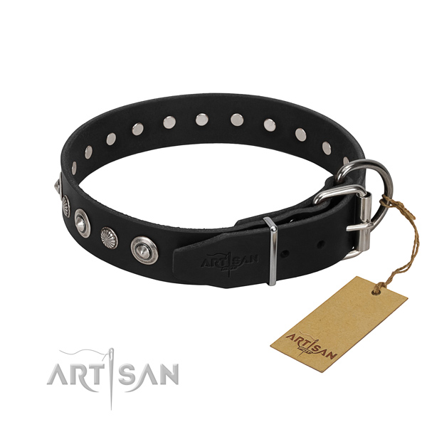 Durable full grain natural leather dog collar with trendy studs