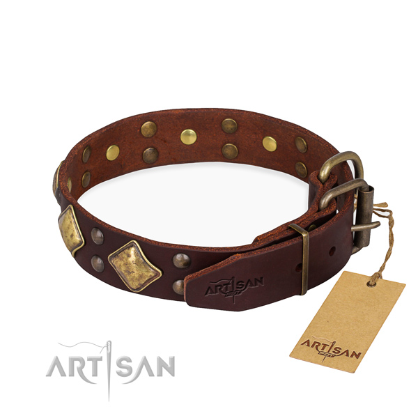 Leather dog collar with remarkable corrosion proof decorations
