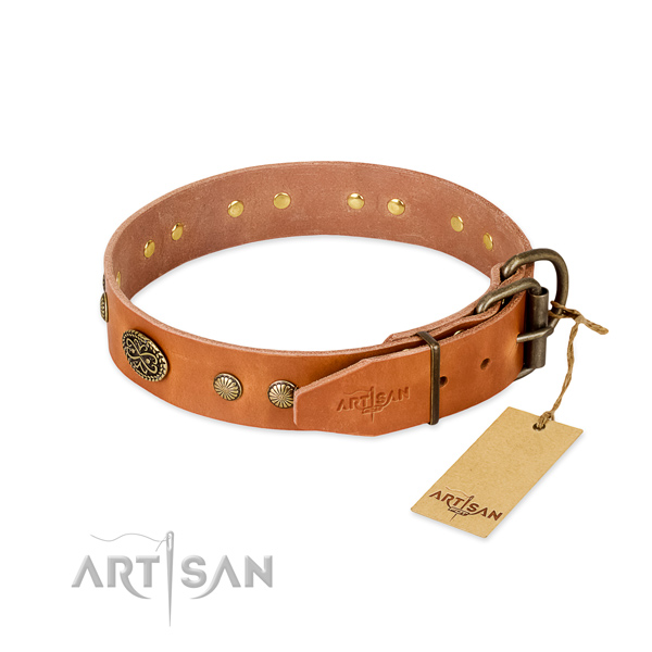 Strong studs on leather dog collar for your canine