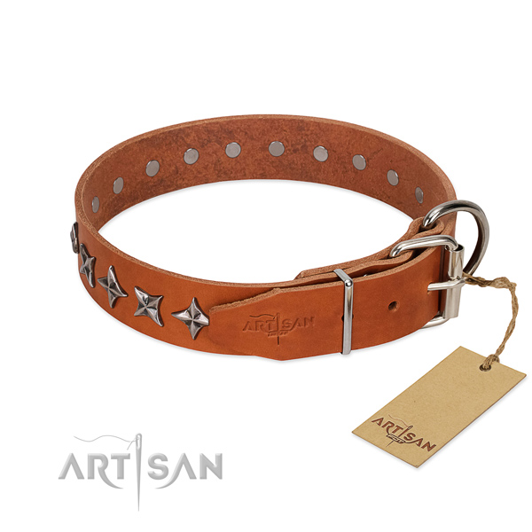 Everyday use studded dog collar of quality genuine leather