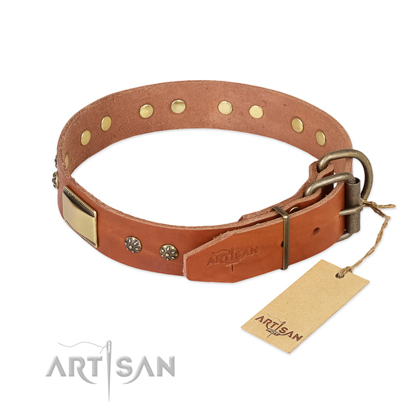 Full grain leather dog collar with corrosion proof fittings and adornments