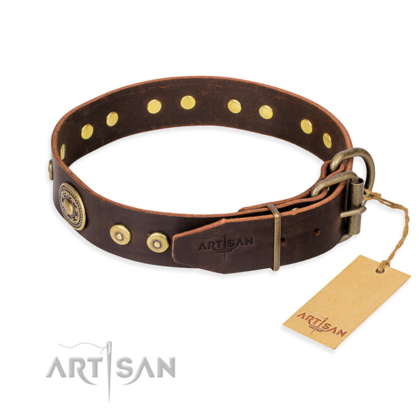Natural genuine leather dog collar made of reliable material with durable embellishments