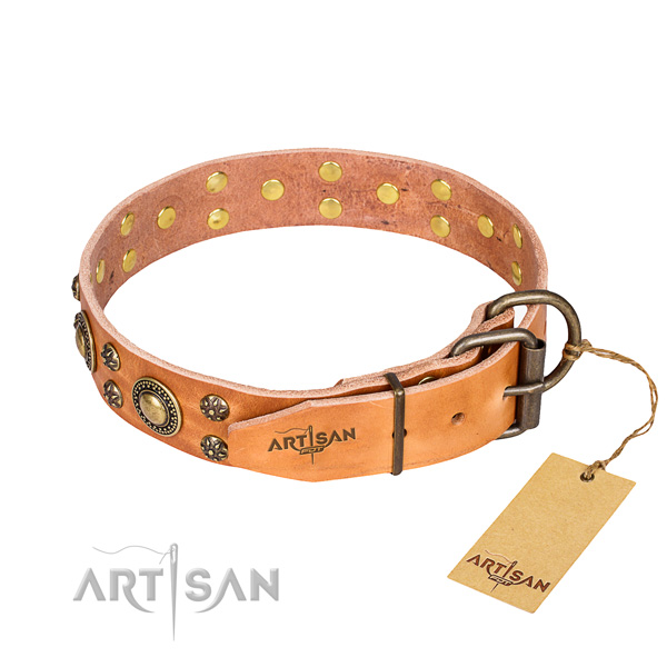 Comfortable wearing embellished dog collar of high quality leather