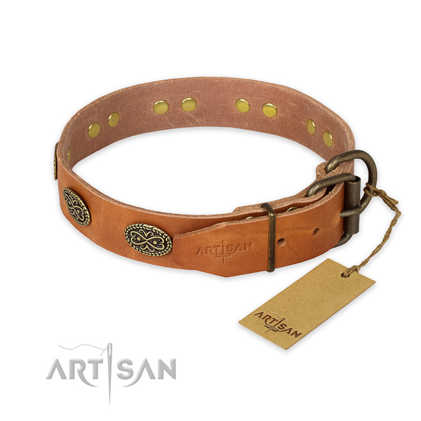 Rust resistant buckle on leather collar for stylish walking your four-legged friend