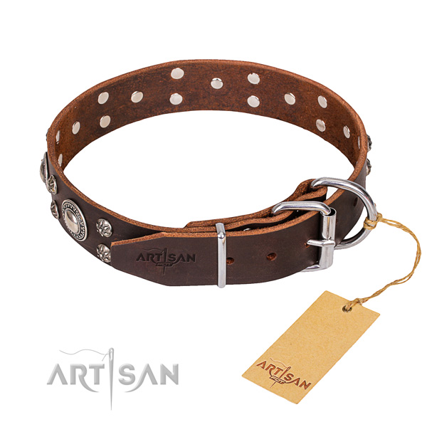 Daily walking adorned dog collar of high quality full grain genuine leather