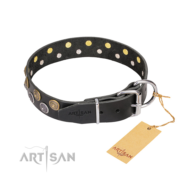 Comfy wearing studded dog collar of finest quality full grain leather