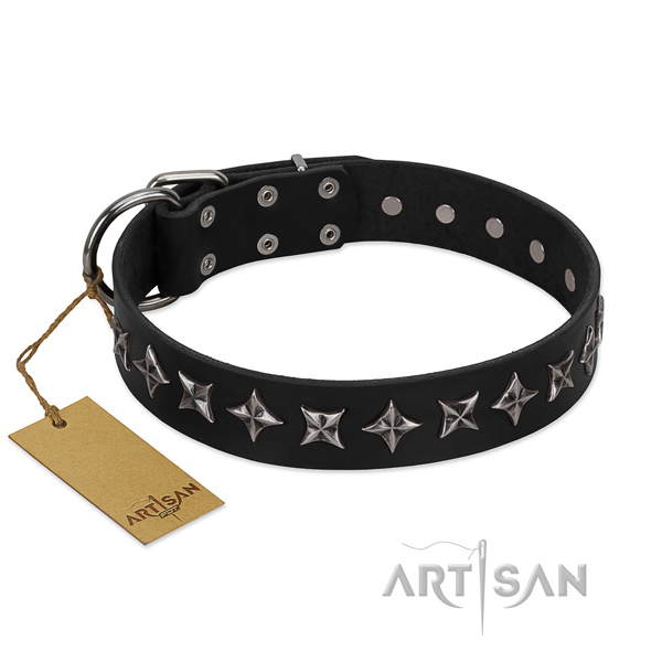 Easy wearing dog collar of finest quality full grain leather with adornments