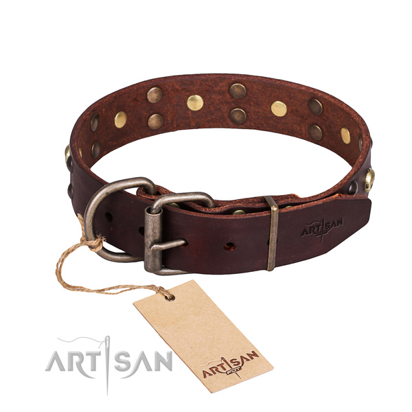 Everyday use embellished dog collar of top notch full grain leather