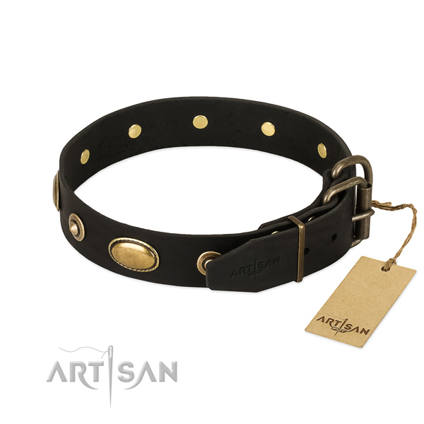 Reliable D-ring on leather dog collar for your canine