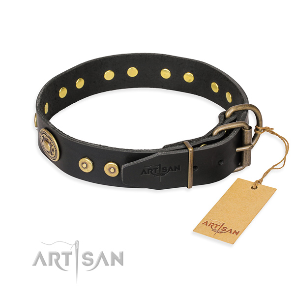 Full grain leather dog collar made of reliable material with strong studs
