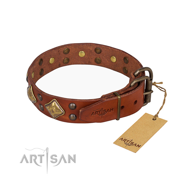 Leather dog collar with stunning rust-proof embellishments